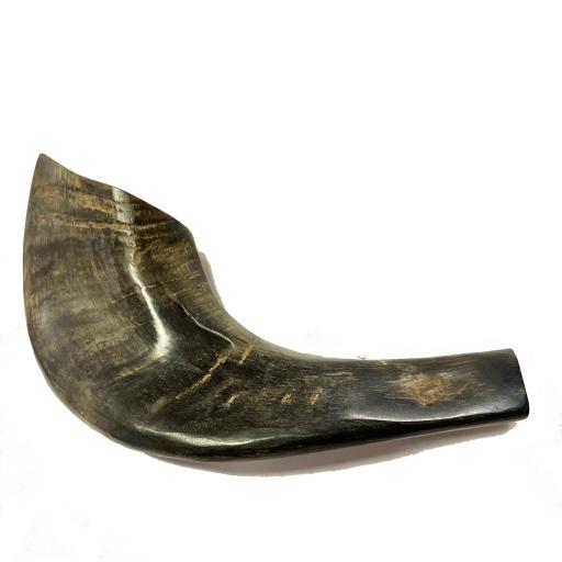 Shofar