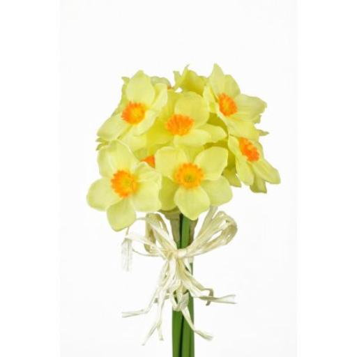 Daffodil Bundle