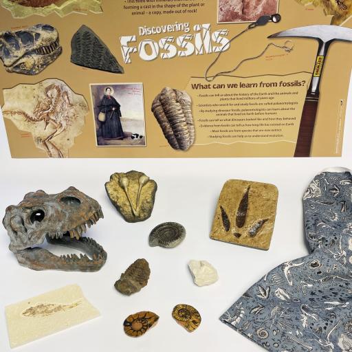 Fossils Value Box
