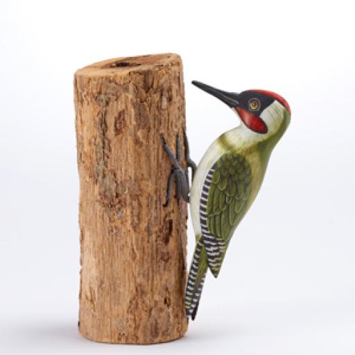 Green Woodpecker