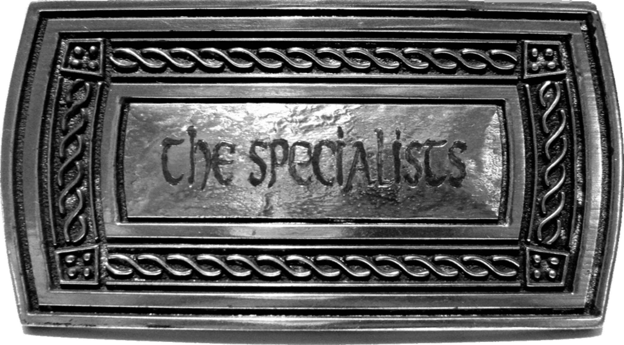 The Specialistsl Logo.jpg