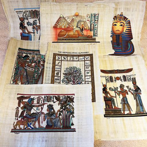 Extra Large Painted Papyrus