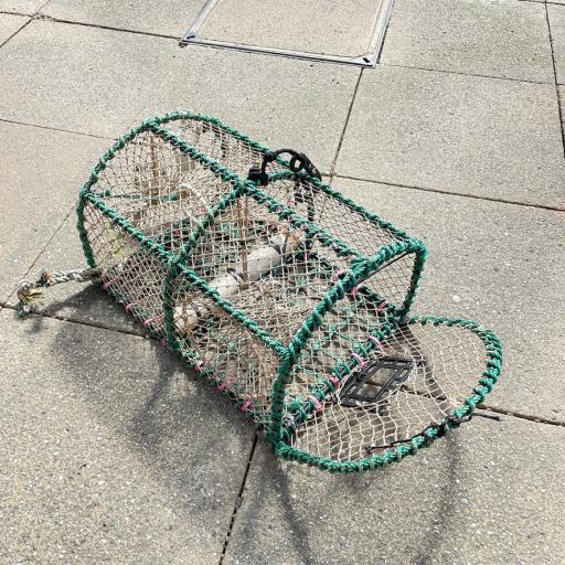 Medium Lobster Pot