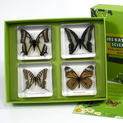 Set of 4 Butterflies in Resin